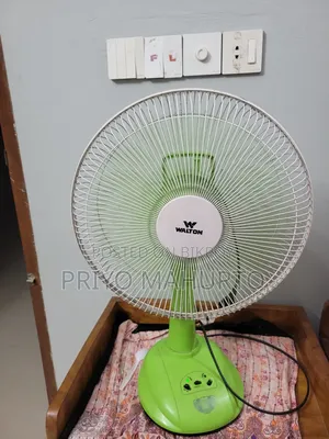 Walton 14-inch Rechargeable Fan
