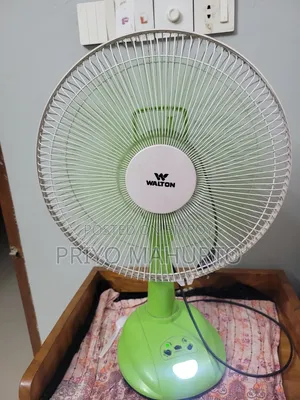 Walton 14-inch Rechargeable Fan