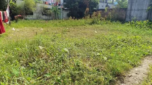 Residential Land