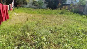 Residential Land