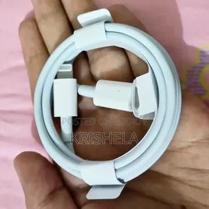 অরিজিনাল আইফোন অ্যাডাপ্টার এবং ক্যাবল
