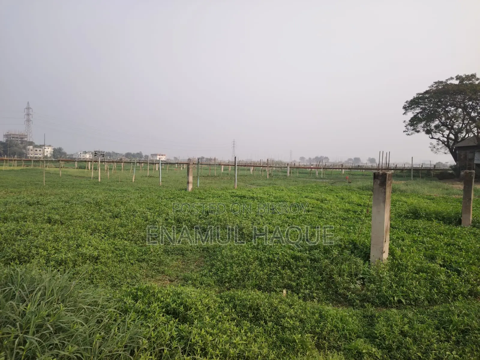 Sale of 01 share out of 20 shares of 10 Katha land