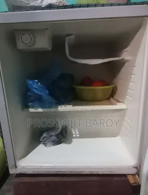 Mini Fridge Full Fresh