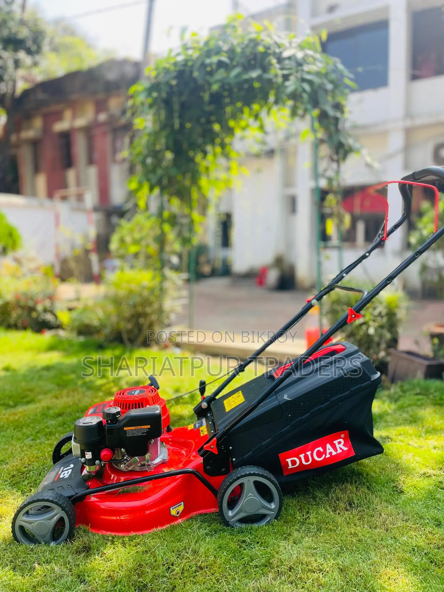 Type Petrol Lawn Mower