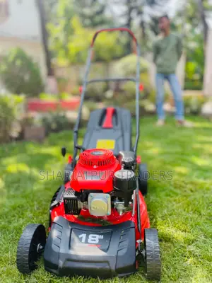 Type Petrol Lawn Mower