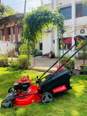Type Petrol Lawn Mower