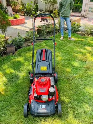 Type Petrol Lawn Mower