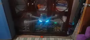 Max GPS Drone