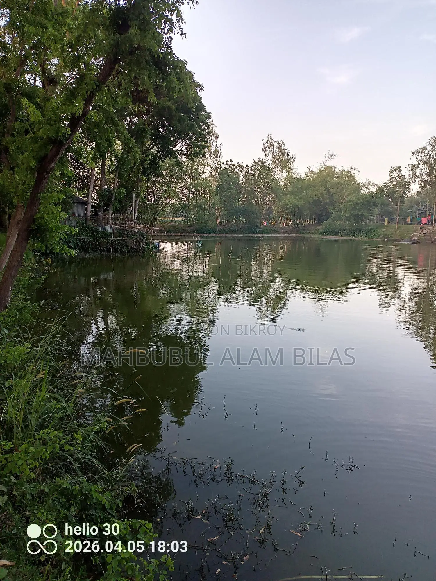 Farmhouse, Pond, Land, House with Electricity, Camera, Wifi
