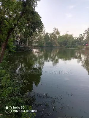 Farmhouse, Pond, Land, House with Electricity, Camera, Wifi