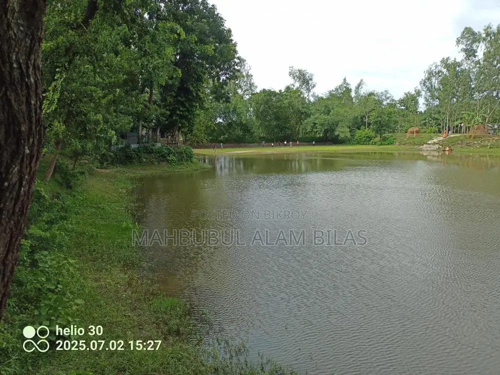 Farmhouse, Pond, Land, House with Electricity, Camera, Wifi