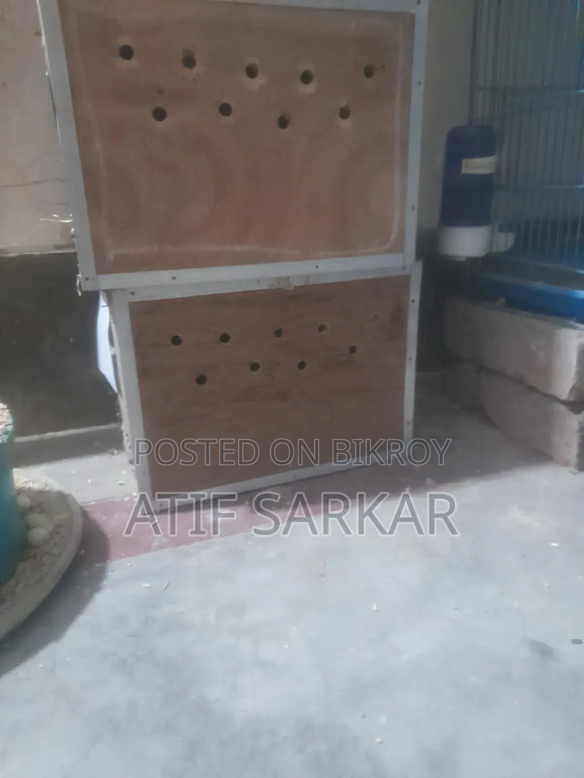 ১০ পিস লাভবার্ড এর ব্রীডিং বক্স সেল হবে।