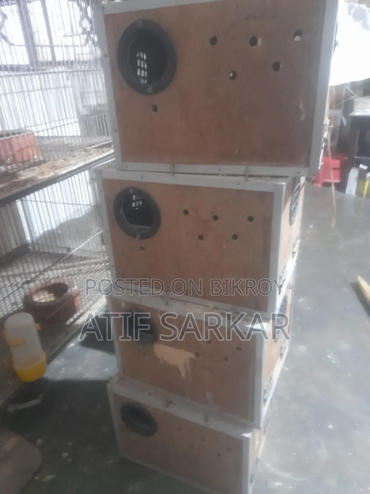 ১০ পিস লাভবার্ড এর ব্রীডিং বক্স সেল হবে।