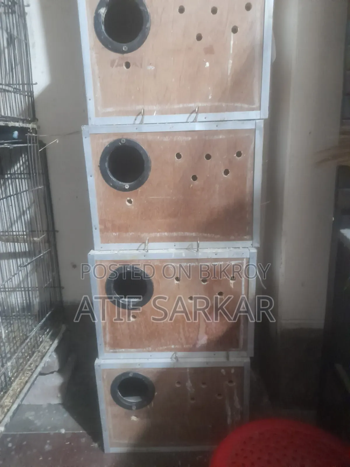 ১০ পিস লাভবার্ড এর ব্রীডিং বক্স সেল হবে।