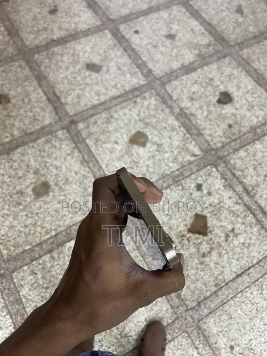 Apple iPhone 12 Pro Max 256 (ব্যবহৃত)