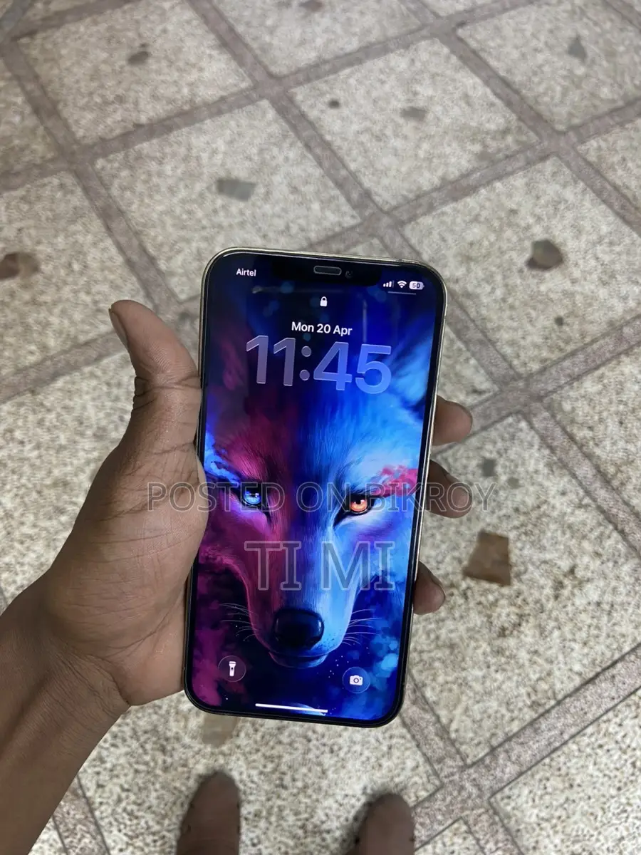 Apple iPhone 12 Pro Max 256 (ব্যবহৃত)