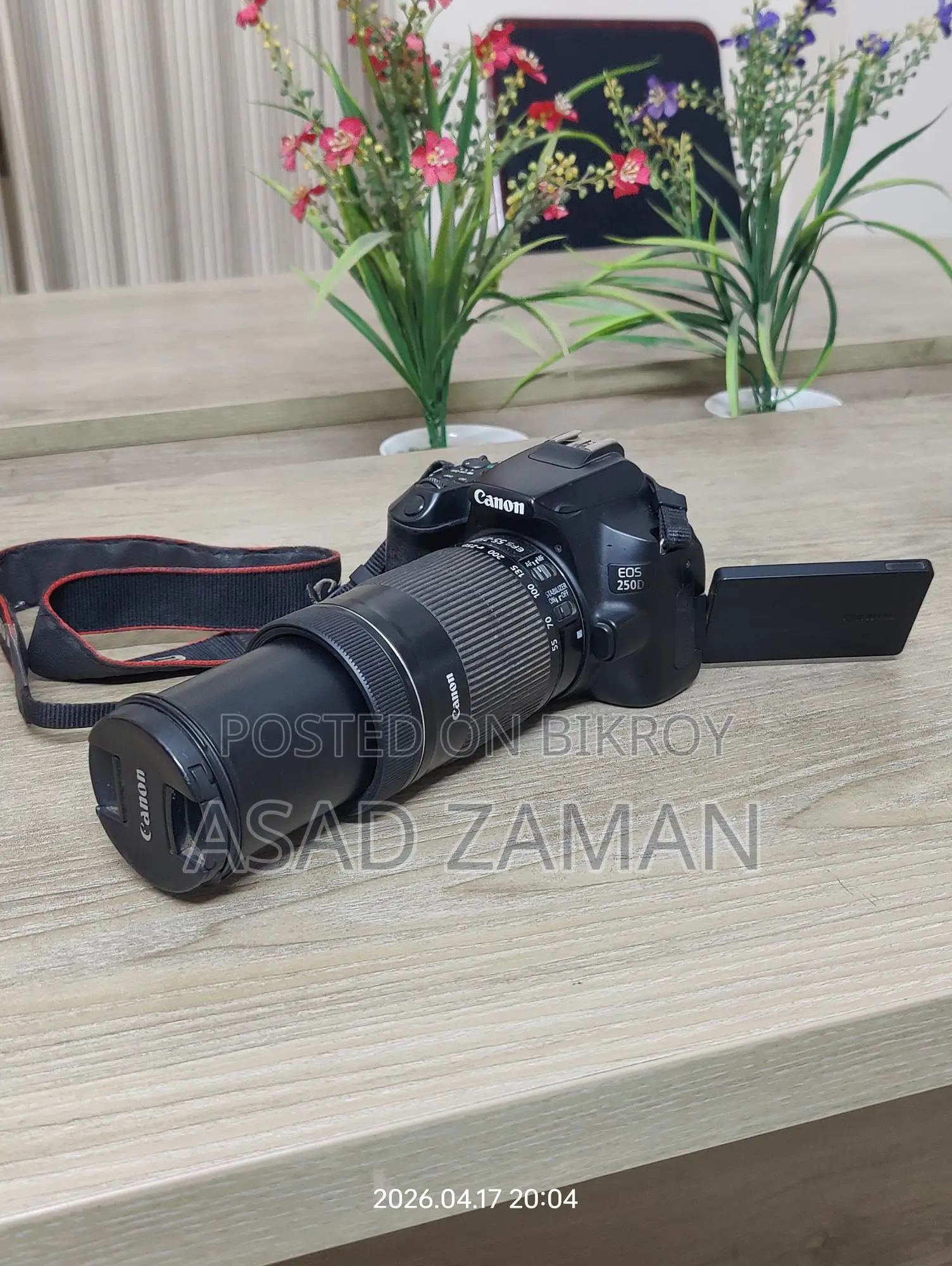 Canon 250d with 55-250mm stm Zoom lens