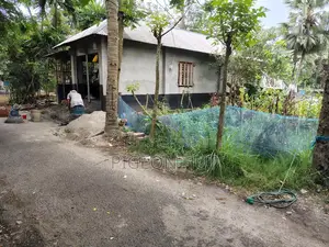 রাস্তা সংলগ্ন জমি