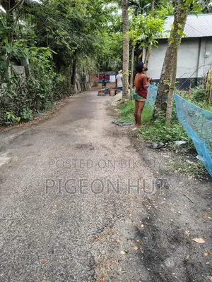 Land adjacent to the road