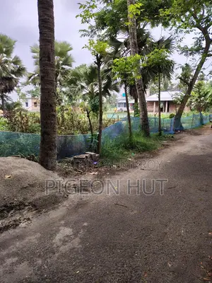 Land adjacent to the road