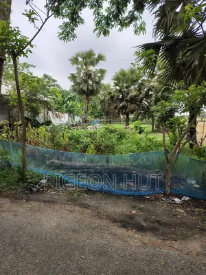 Land adjacent to the road