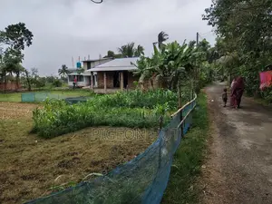 Land adjacent to the road