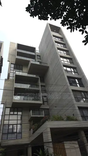 বারিধারা ডিপ্লোম্যাটিক জোন - সাউথ-ফেসিং অ্যাপার্টমেন্ট – ৩৮৫০ বর্গফুট