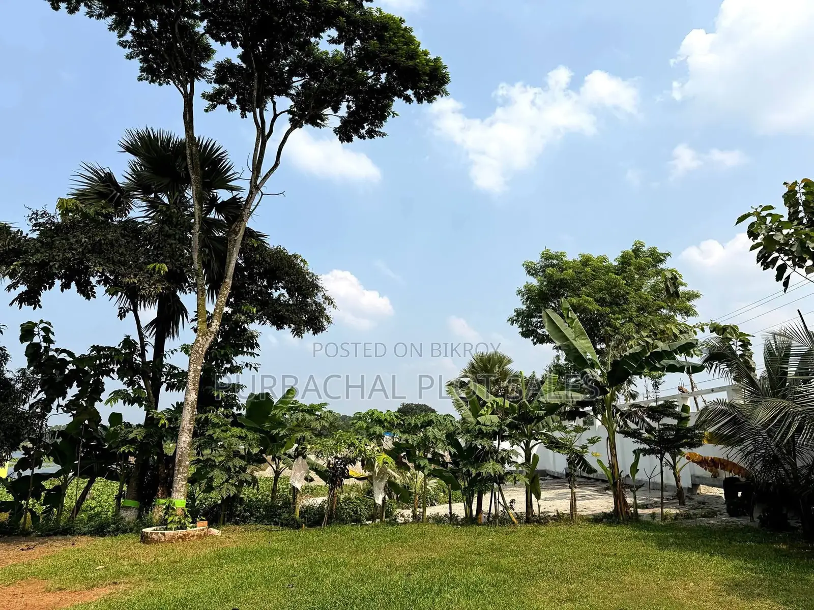Invest in Purbachal Pine City