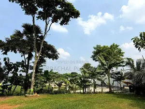 Invest in Purbachal Pine City
