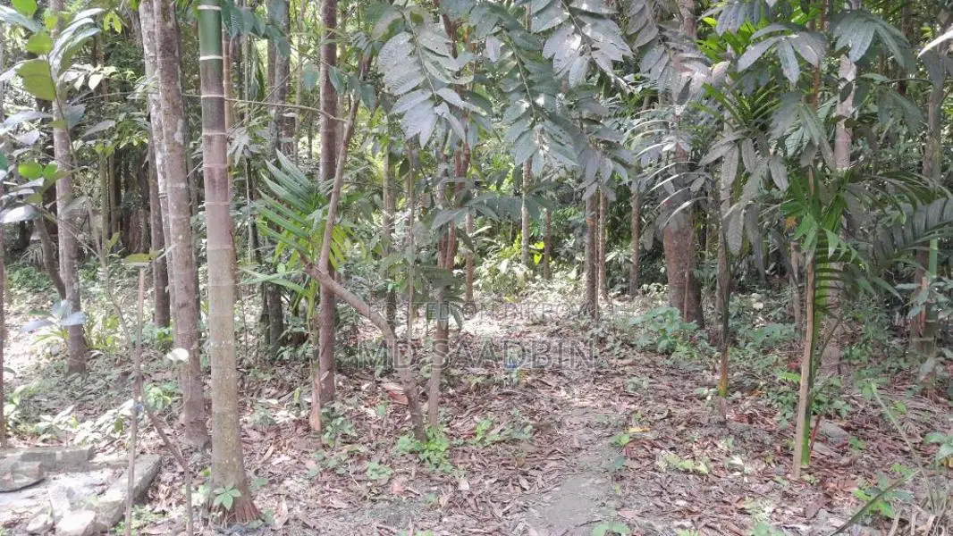 Urgent sale of 4.5 decimal and 3 decimal land