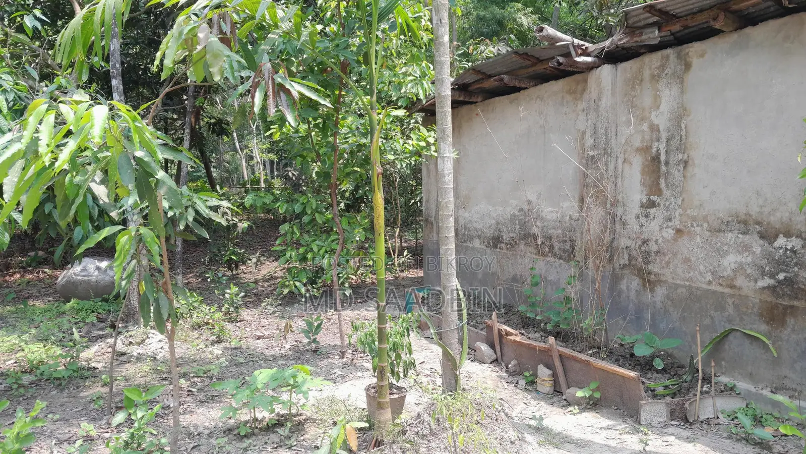Urgent sale of 4.5 decimal and 3 decimal land