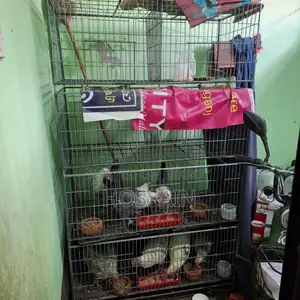 অর্ডার দিয়ে বানানো খাচা