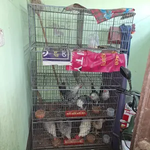 অর্ডার দিয়ে বানানো খাচা