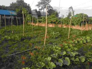 5 Katha South Facing Plot For Sale