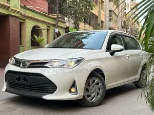 Toyota Axio NON-HV EX PUSH START 2020