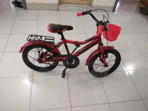 Bicycle That Looks Brand New
