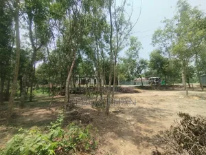 ফ্যাক্টরি গোডাউন বা শেটের এর জন্য