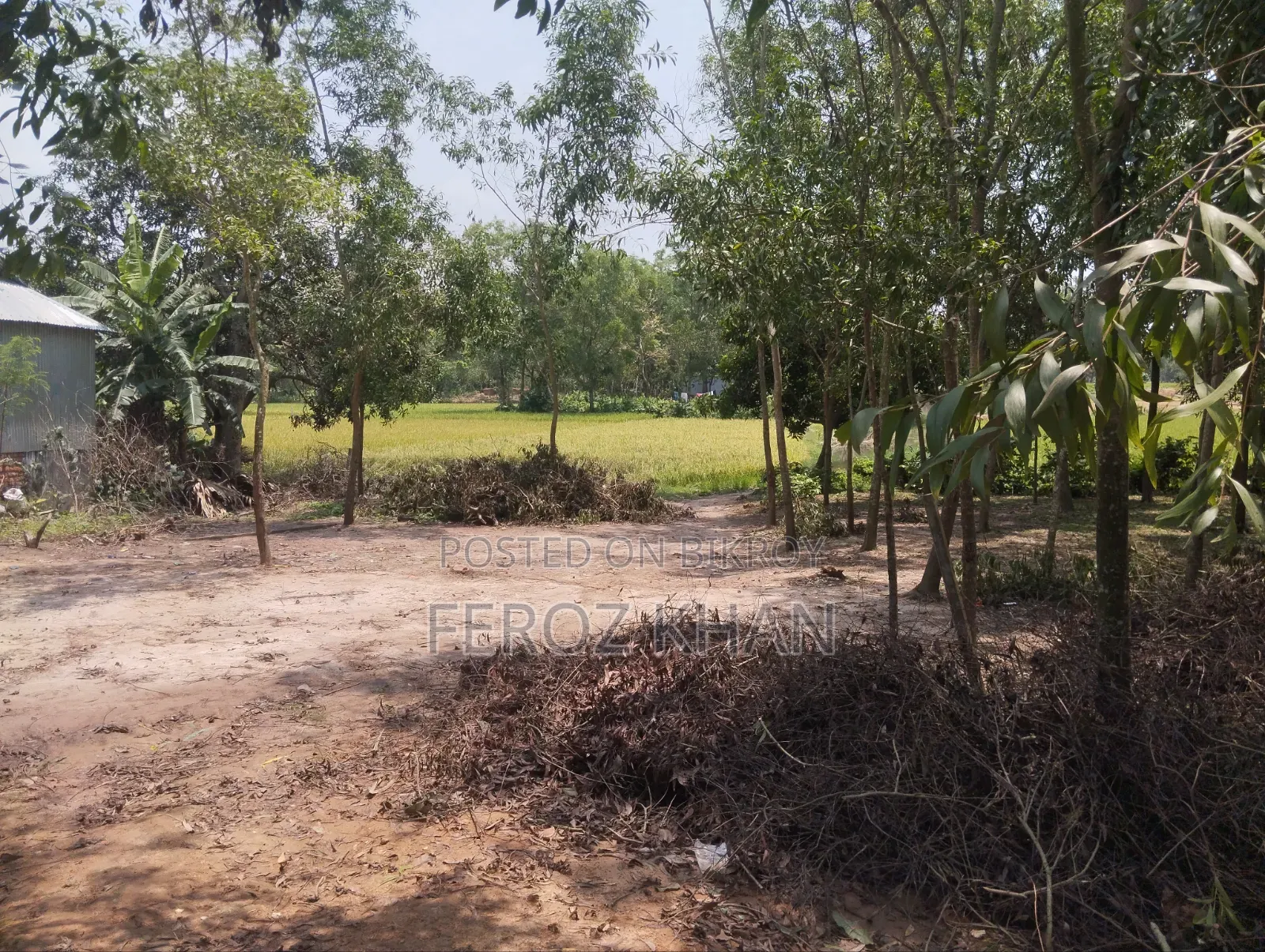 ফ্যাক্টরি গোডাউন বা শেটের এর জন্য