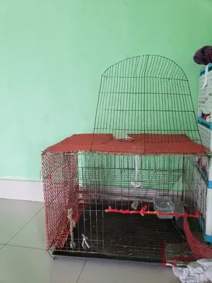 ভালো মানের মাঝারি সাইজের খাঁচা