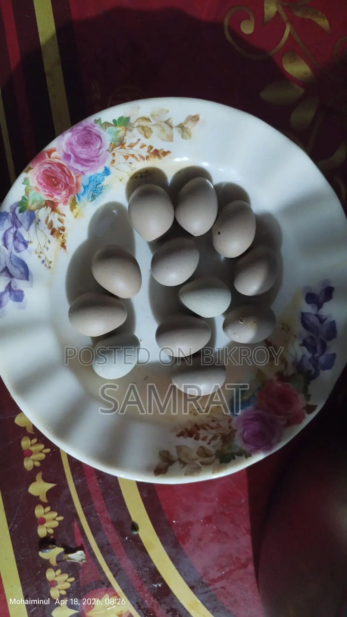King Quail Eggs Per Piece