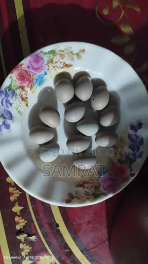 King Quail Eggs Per Piece