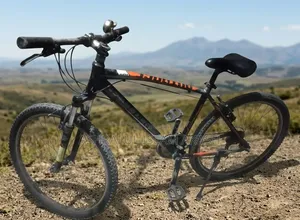 Bicycle for Sale