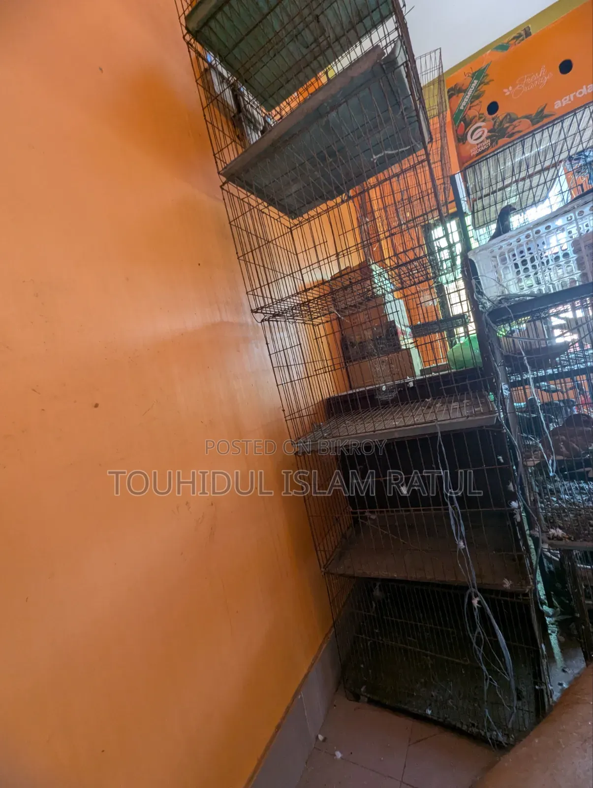 ১৩-১৪ টা পুরনো খাঁচা