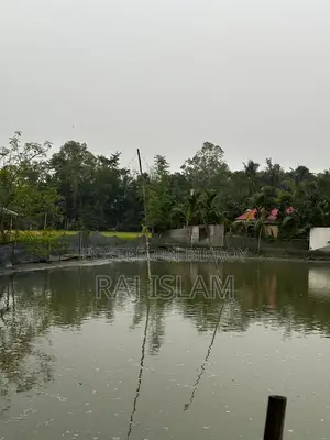 Urgent land for sale