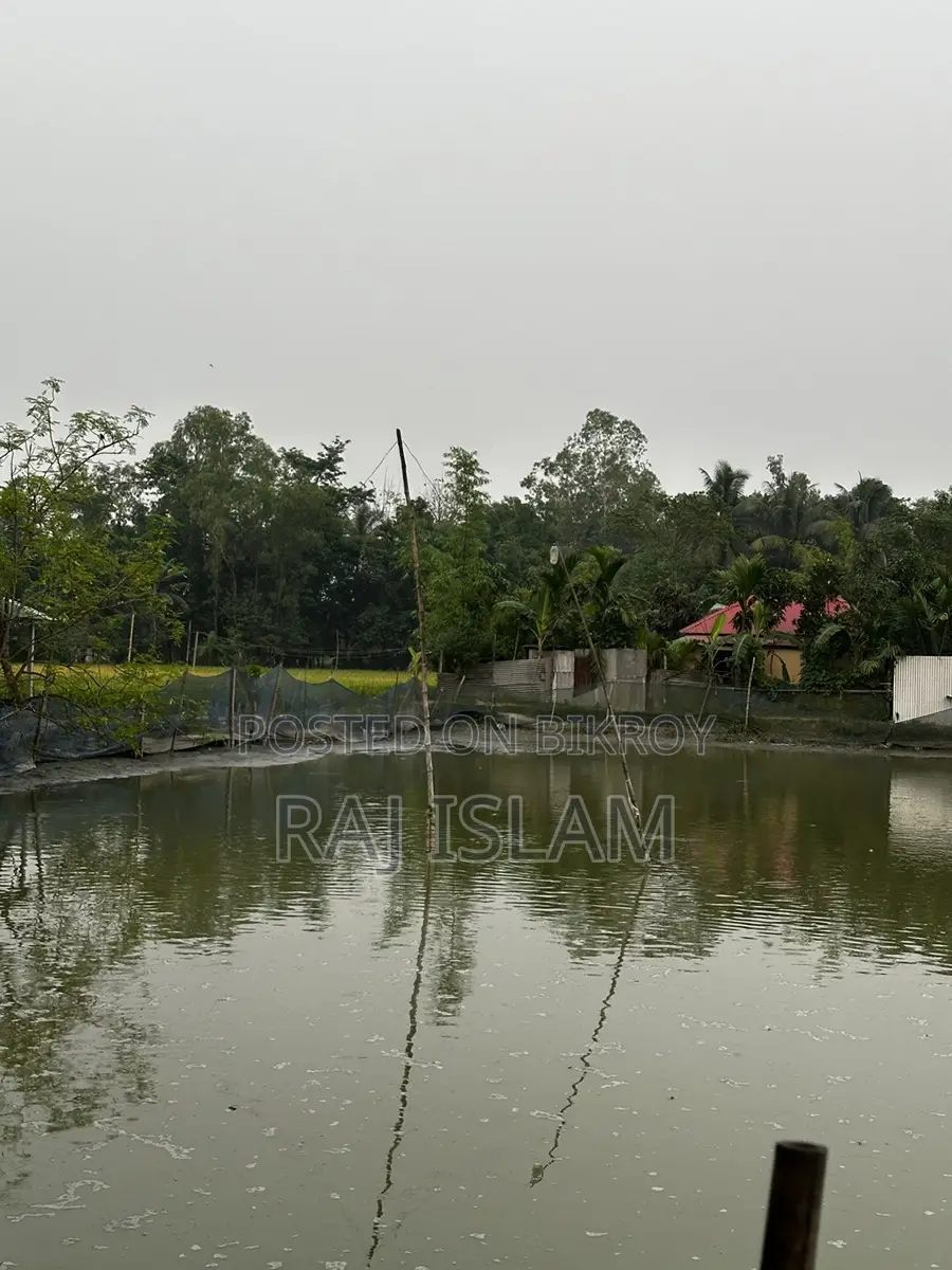 Urgent land for sale