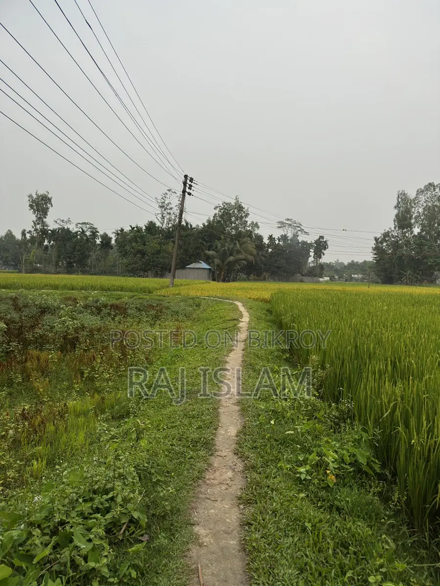 Urgent land for sale