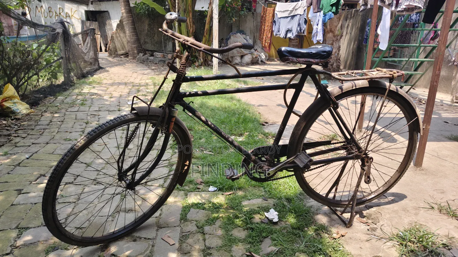 Phoenix Cycle
