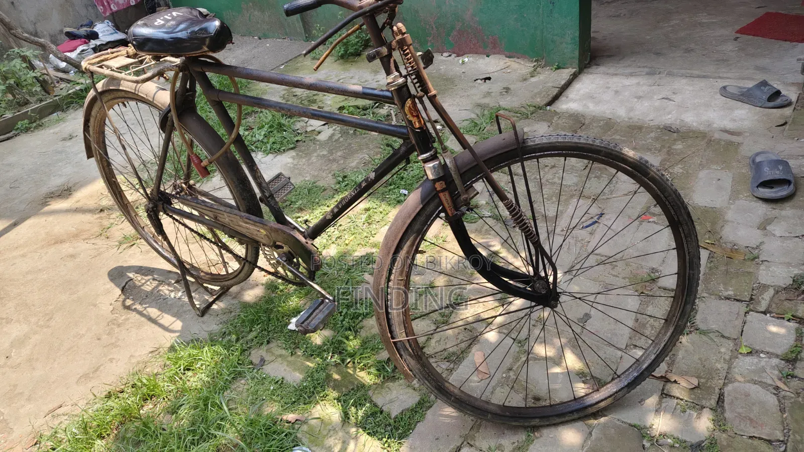 Phoenix Cycle