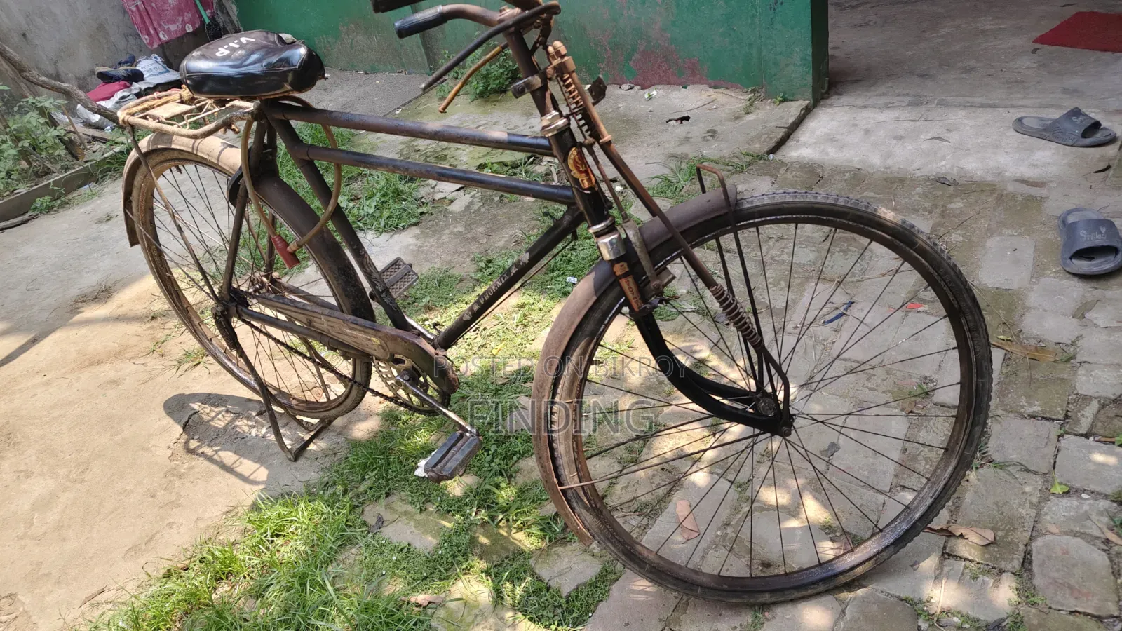 Phoenix Cycle