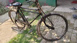 Phoenix Cycle